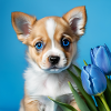 puppy baby dog