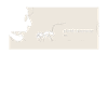 phonemisPhonemic consciousness science