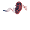 phonemisPhonemic consciousness science
