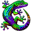 Gecko