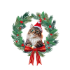 Weihnachtliche Katze