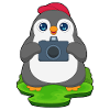 Penguin Photographer Camera