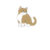 Cat Rescue Gifts