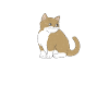 Cat Rescue Gifts