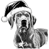 Rhodesian Ridgeback Christmas