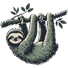 Sloth