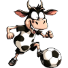 Kühe Fussball