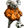Koalas Soccer / Soccer Koala