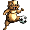 Murmeltiere Fussball