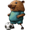 Football Moles