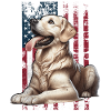 Labrador US Labrador