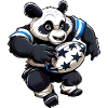 Pandas Rugby