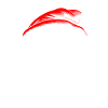 Christmas raccoon