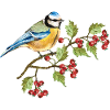 Bunter Vogel