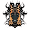 Dunkler Malinois