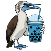 Blue-footed boobies Bubble Tea