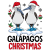 Galapagos Christmas