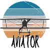 Aviator Airplane Pilot Pilot