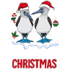 Galapagos Christmas