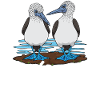 Galapagos Islands