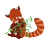 Red Panda Loves Bamboo