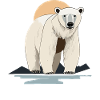 Polar bear