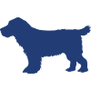 cocker spaniel - deep blue (sua)