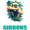Gibbons Gibbon