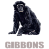 Gibbons Gibbon