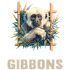 Gibbons Gibbon