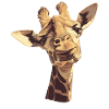 Girafes Girafe