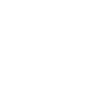 Cocker Spaniel Hund – white – SUA