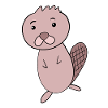 Beaver Animal