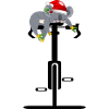 CHRISTMAS BICYCLE CYCLING KOALA BEAR