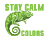 Chameleon Gifts
