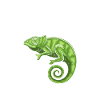 Chameleon Gifts