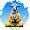 Sheep Yoga / Yogi Sheep