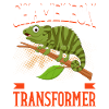 Chameleon Gifts