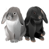 Two Rabbits Illustration /Graphic