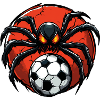 Araignées Football / Soccer Spider