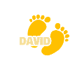 David as Birth