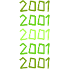Barbecue 2001
