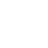 2025 Line