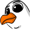 Seagull Head