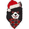 Chihuahua avec chapeau de Noël