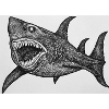 Cartoon Shark