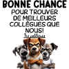 Cartoon disgruntled dog trio