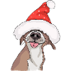 Weihnachtshund