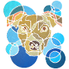 Dog Geometry