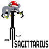 CHRISTMAS CYCLING DECEMBER SAGITTARIUS